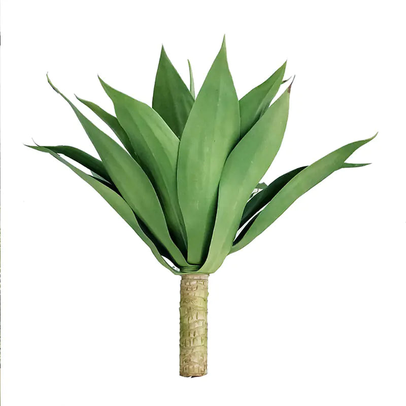 Agave GreenEase Decor