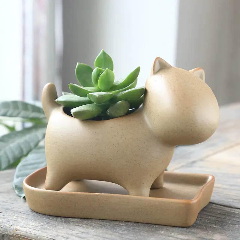 Rustic Ceramic Succulent Holder