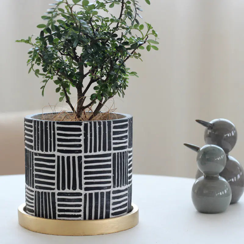 Chic Indoor Flower Pot Set with Gold Tray