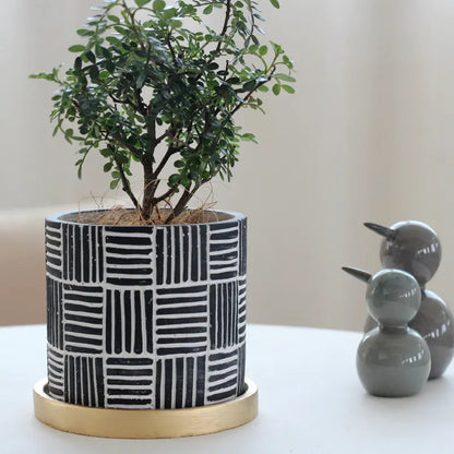 Chic Indoor Flower Pot Set with Gold Tray