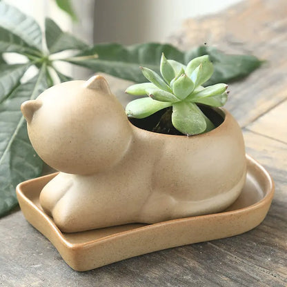 Rustic Ceramic Succulent Holder
