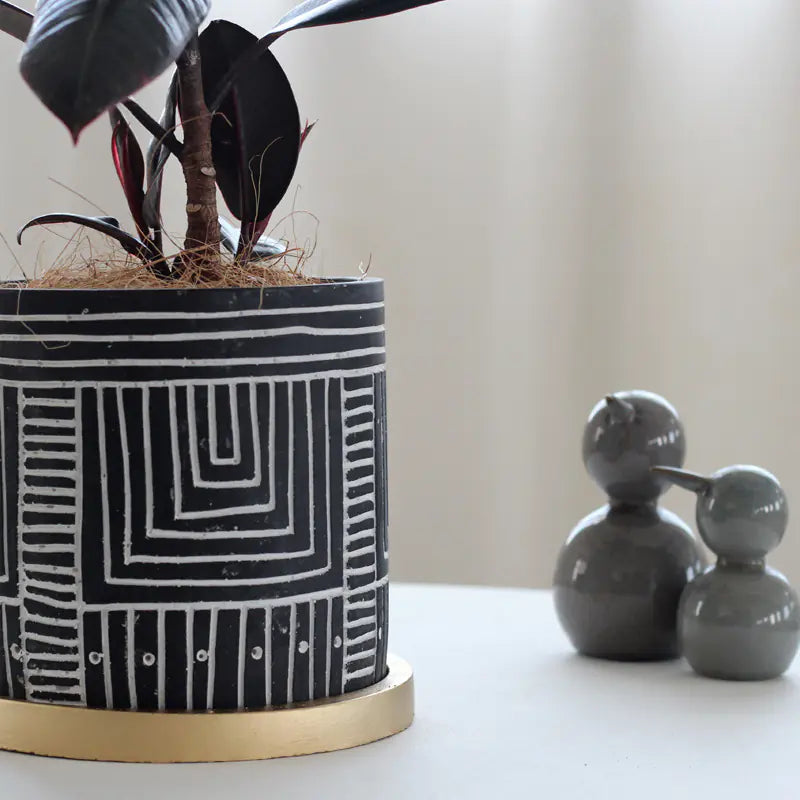 Chic Indoor Flower Pot Set with Gold Tray