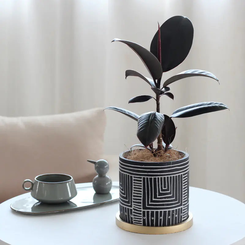 Chic Indoor Flower Pot Set with Gold Tray