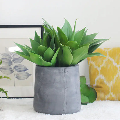 Agave GreenEase Decor