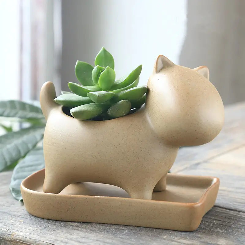Rustic Ceramic Succulent Holder