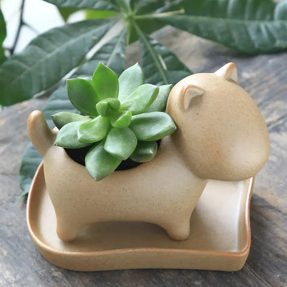 Rustic Ceramic Succulent Holder